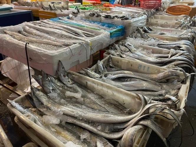 水产品的多样魅力 从海洋到餐桌的珍贵馈赠